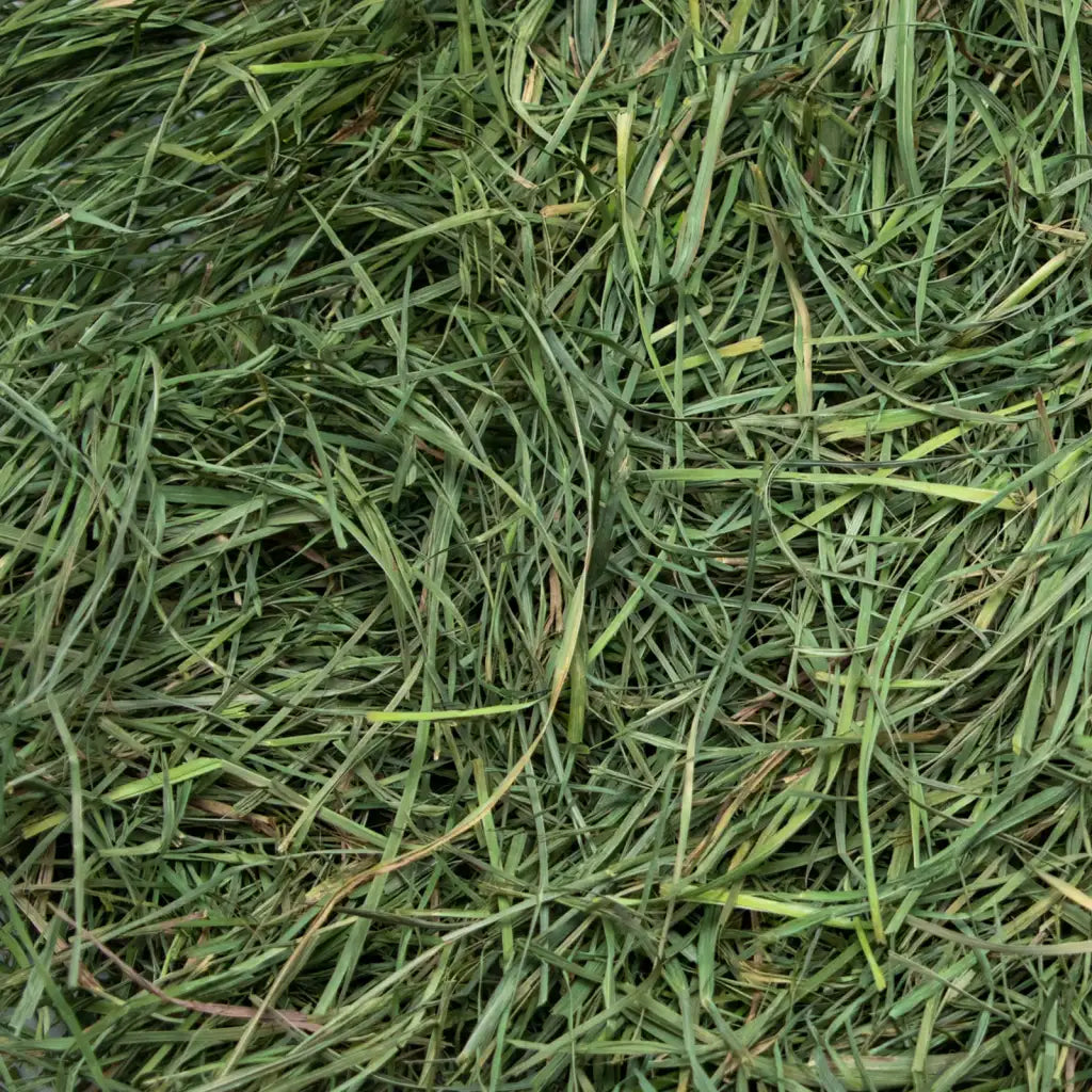 Soft Orchard Grass Hay
