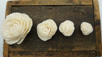 Sola Wood Rose Flowers, Set of 12, Approximately 2.5 Inches