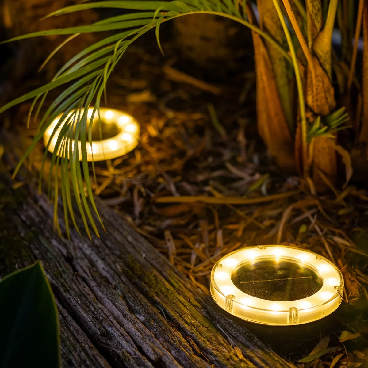 Solar Ground Lights for Garden Paths and Outdoor Areas, Waterproof Rustproof ABS LED Pathway Lighting, 2 Pack