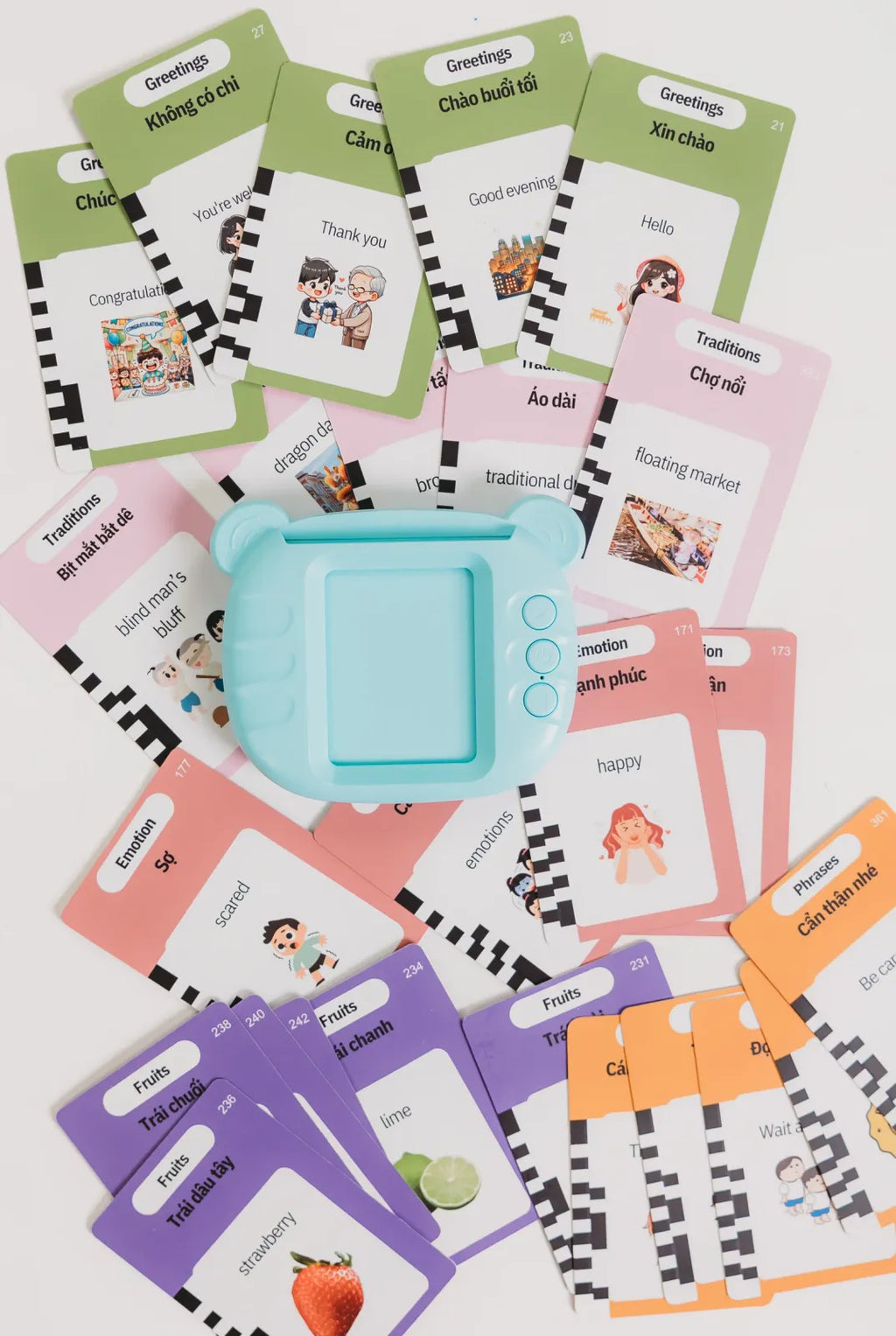 Southern Vietnamese-English Flashcard Reader, Blue