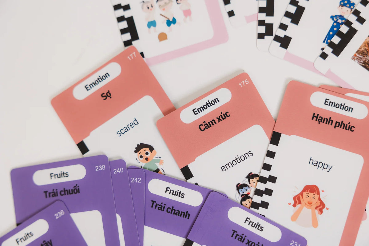 Southern Vietnamese-English Flashcard Reader