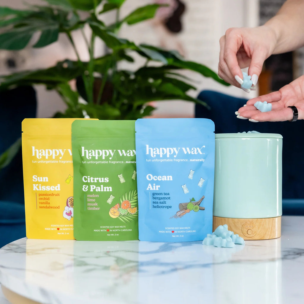 Soy Wax Melt Collection in Three 2 oz Pouches, Infused with Essential Oils and Inspired by Summer Coastlines