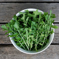 Speedy Arugula Seeds and Seed Tape