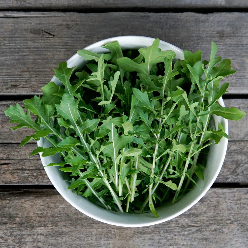 Speedy Arugula Seeds and Seed Tape