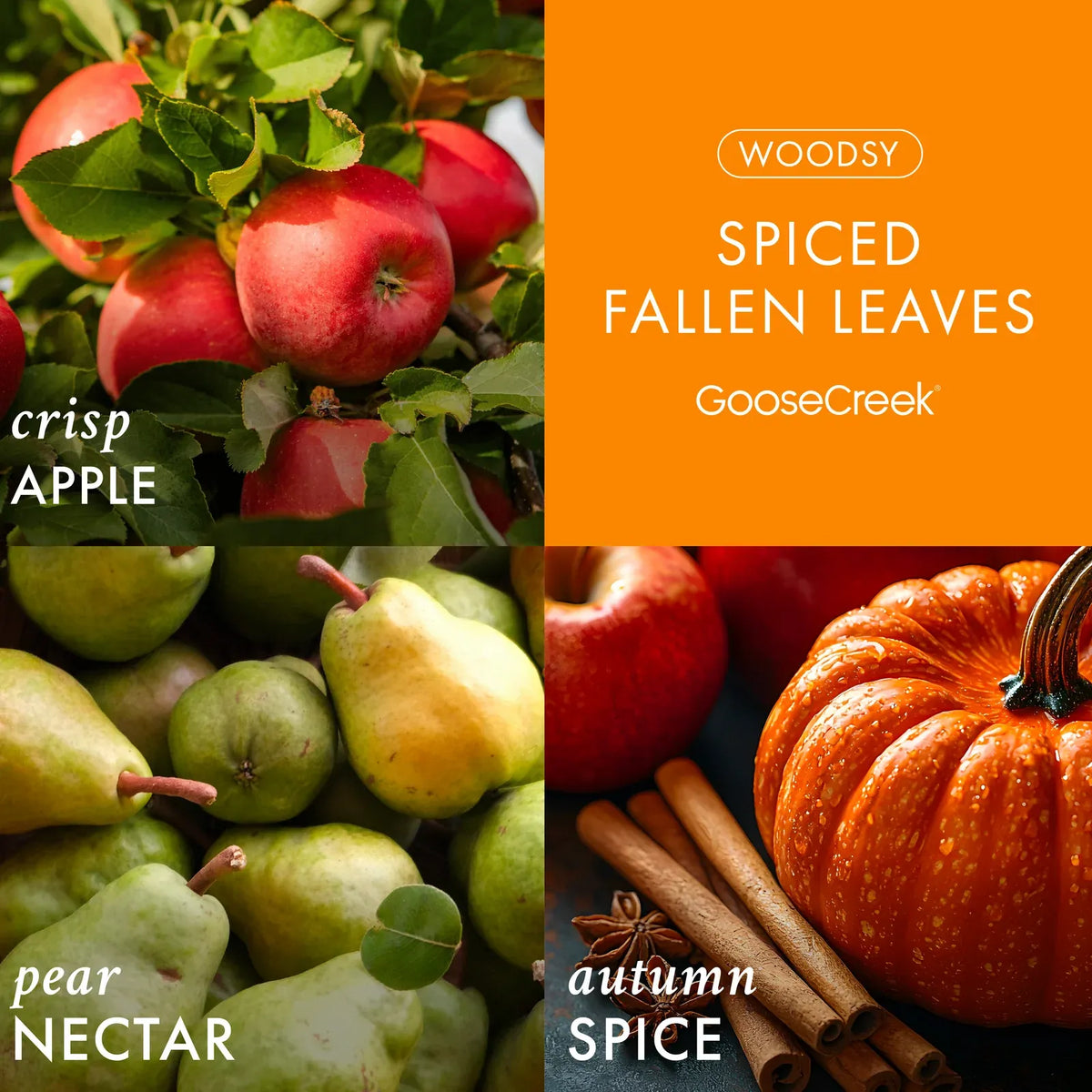 Spiced Fallen Leaves 3-Wick Candle