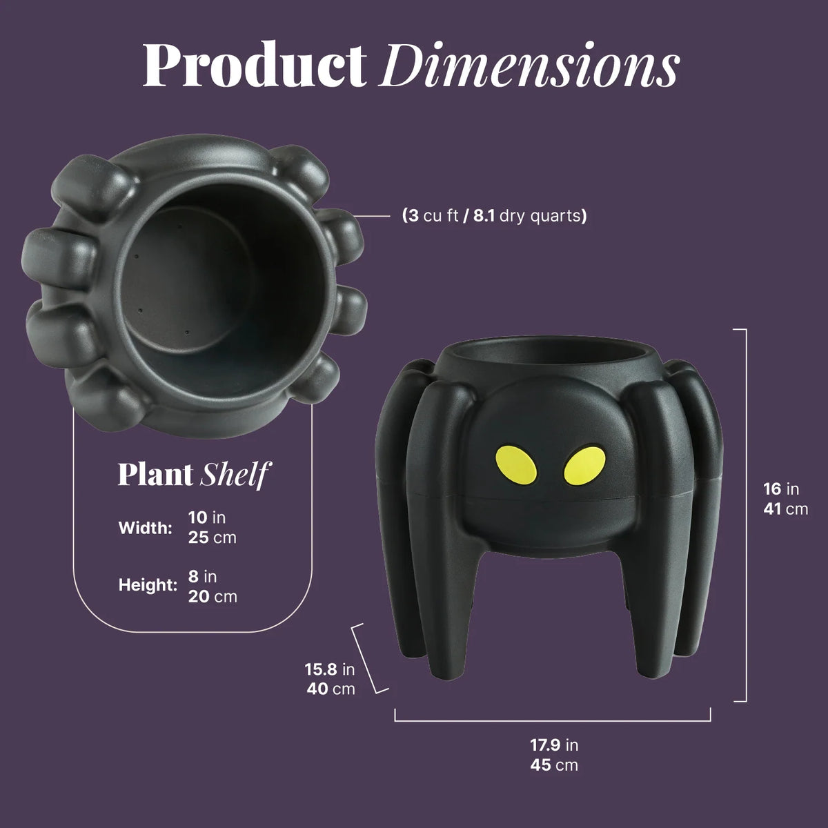 Spider Planter