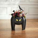 Spider Planter