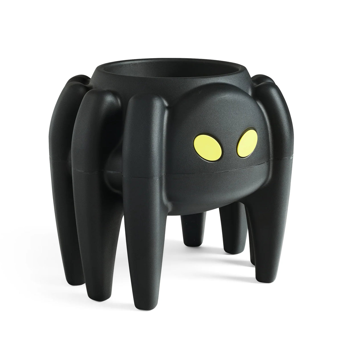 Spider Planter