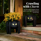 Spider Planter