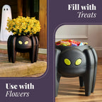 Spider Planter