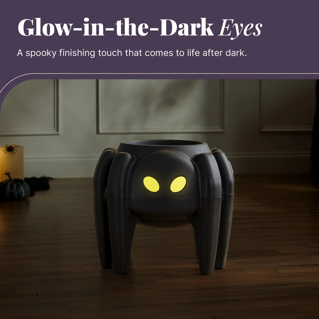 Spider Planter