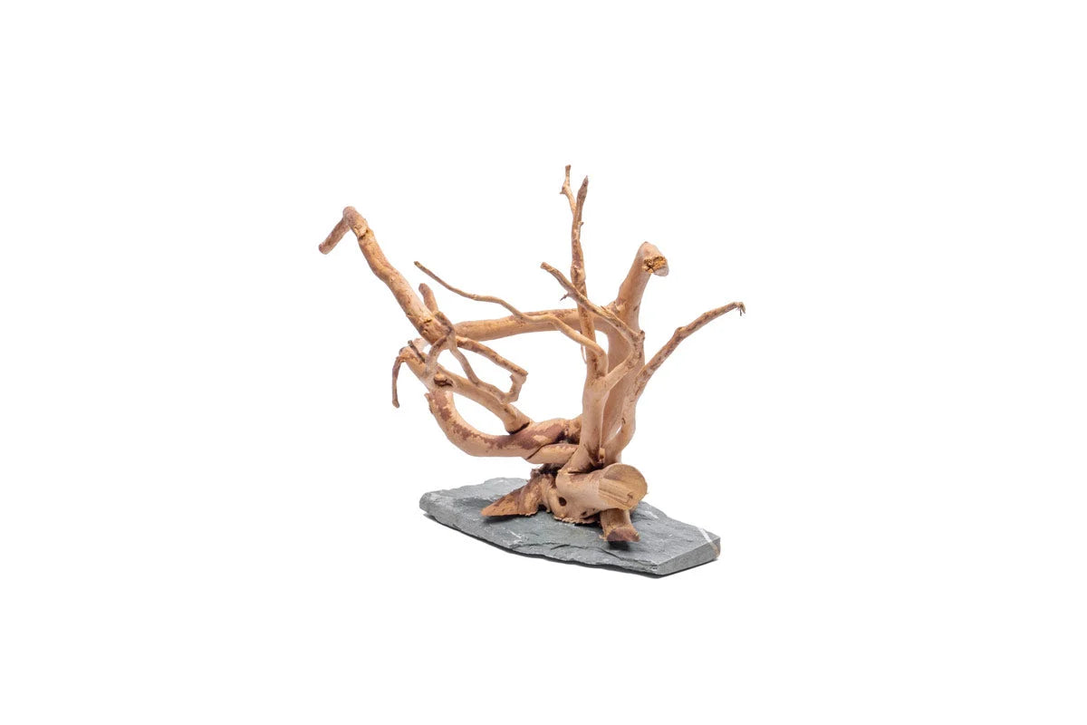 Spiderwood Aquarium Driftwood on Slate Base with Branching Aquascape Design in Small, Medium, or Large Sizes