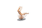 Spiderwood Aquarium Driftwood on Slate Base with Branching Aquascape Design in Small, Medium, or Large Sizes