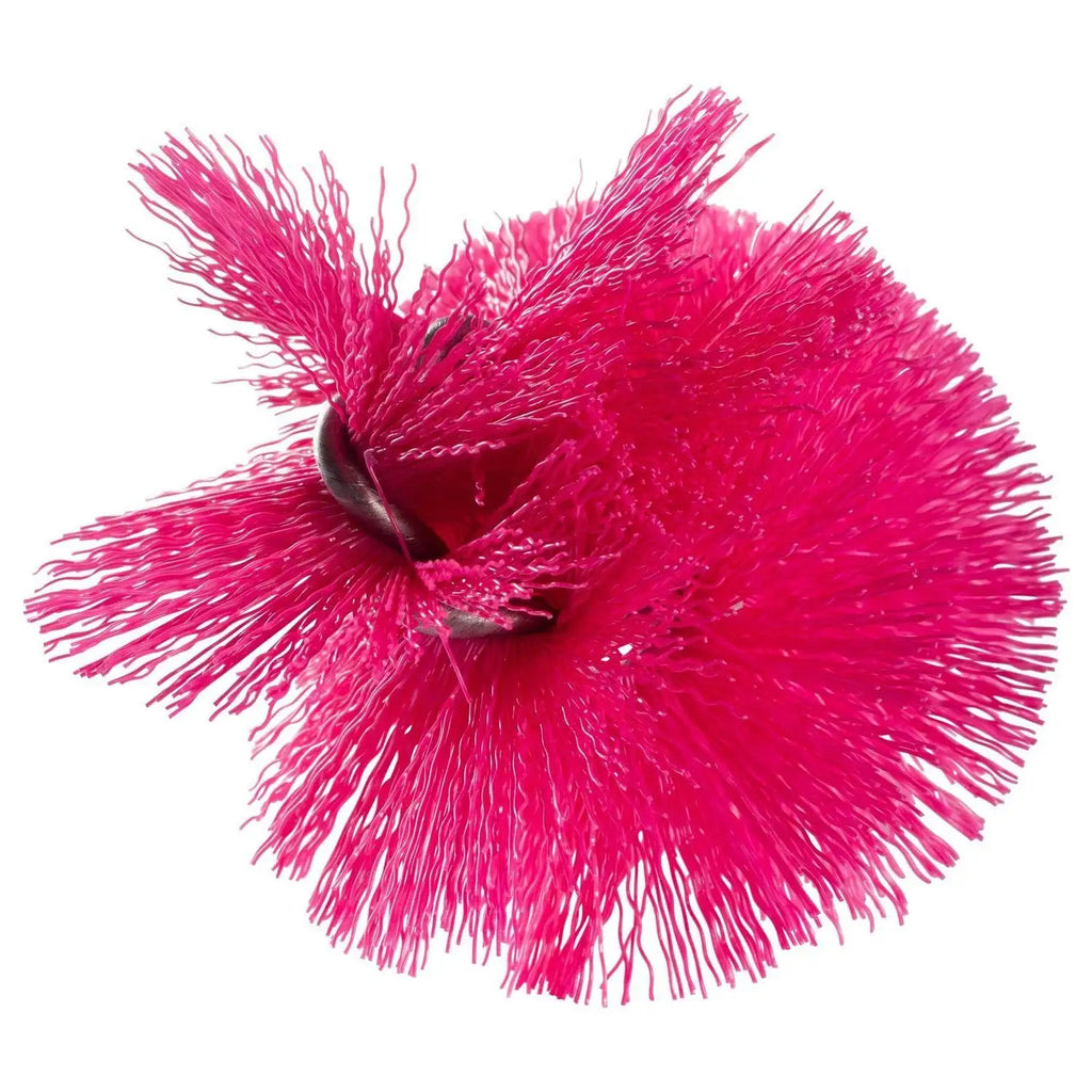 Sports Bottle Brush
