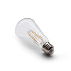 ST21 LED Filament Light Bulb