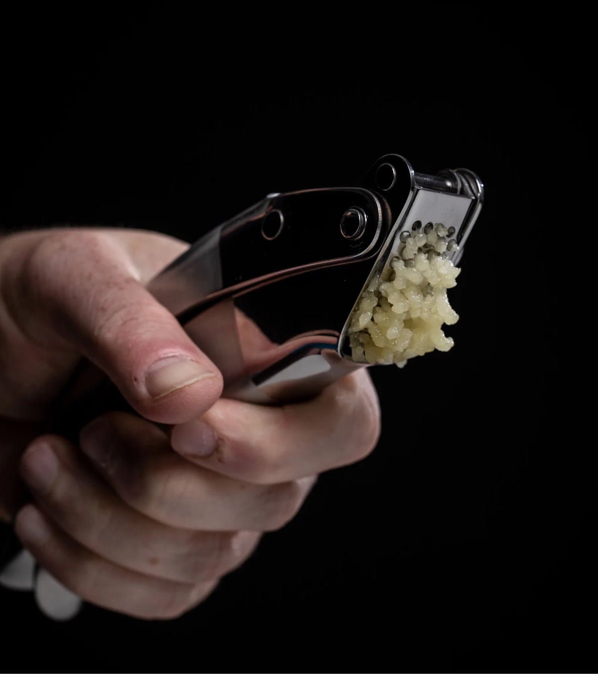 Stainless Steel Garlic Press