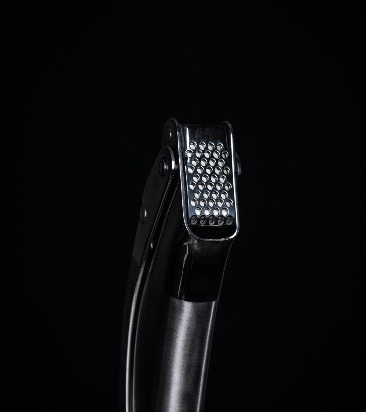 Stainless Steel Garlic Press