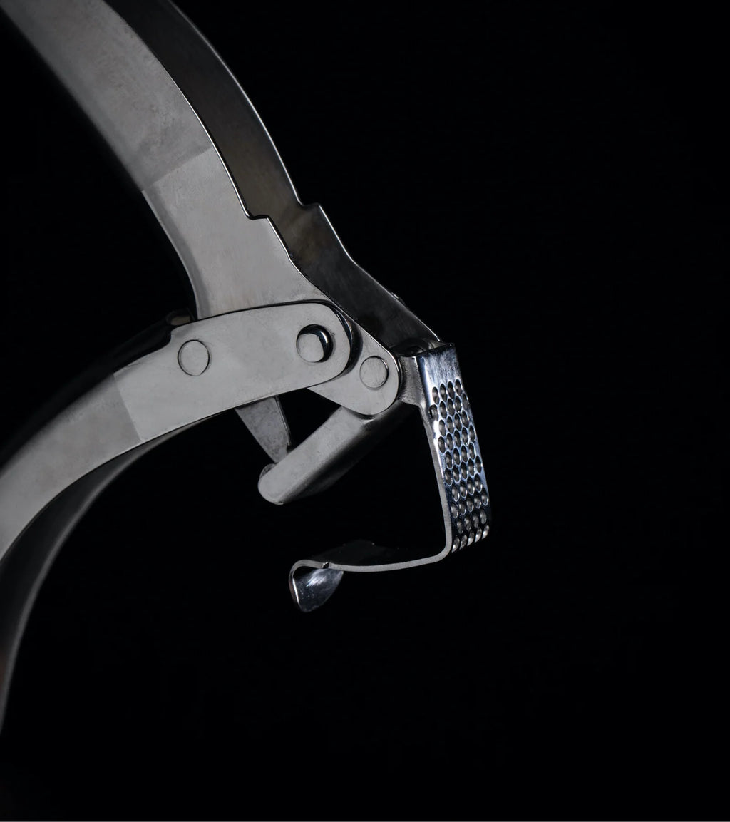 Stainless Steel Garlic Press