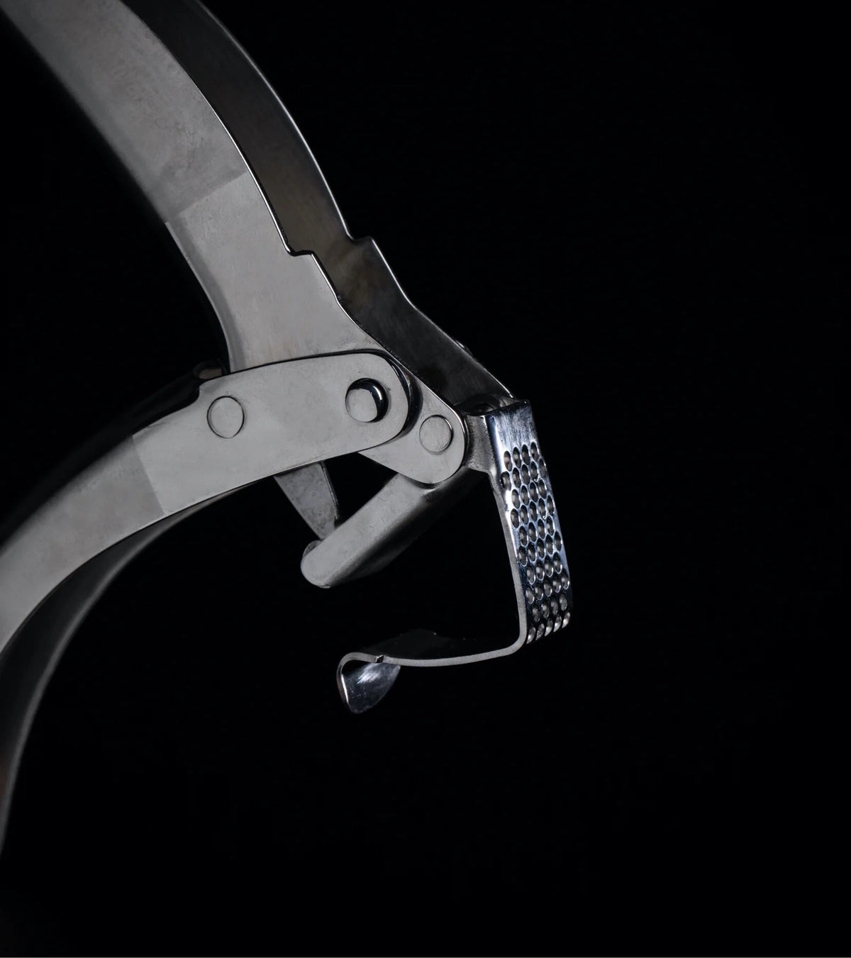 Stainless Steel Garlic Press