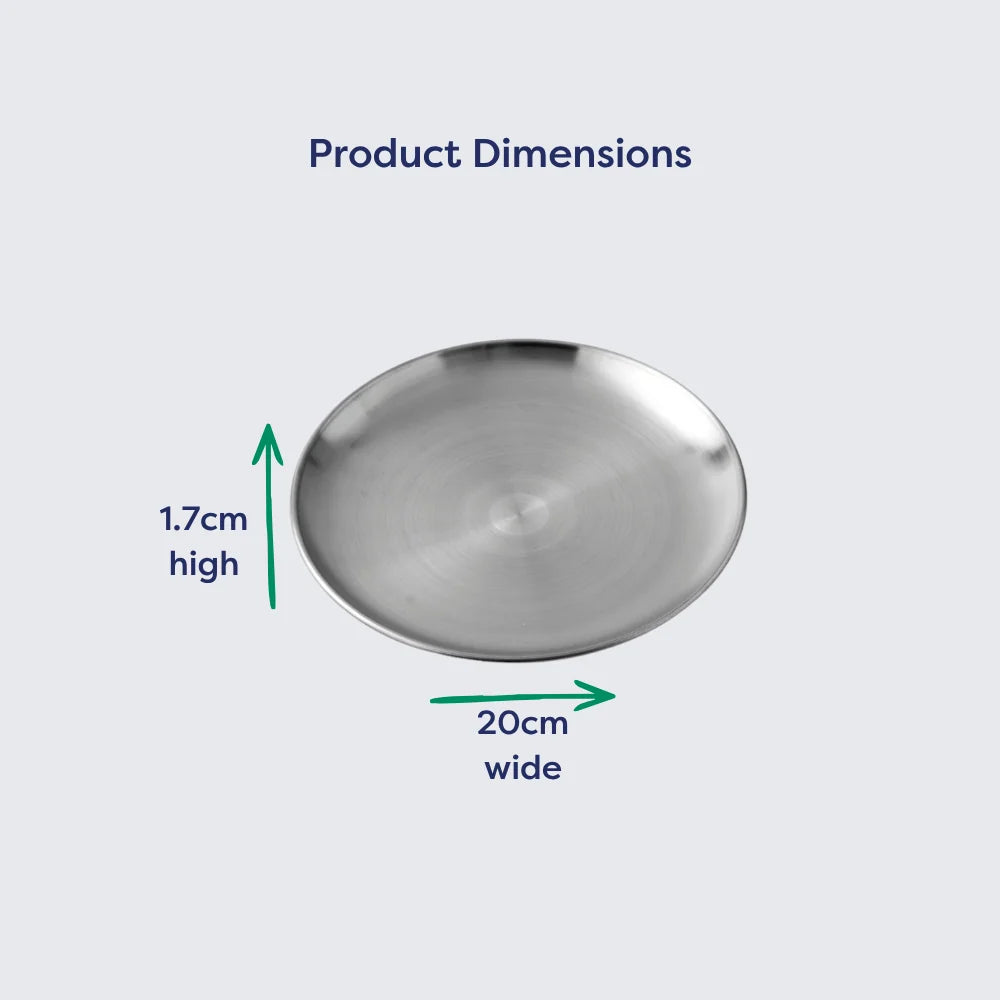 Stainless Steel Kids Plate, 20cm Uncoated Dinner Plate