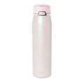Stainless Steel Water Bottle with Covered Straw, 30 oz Insulated Mesa Loop Design and Folding Handle