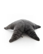 Starfish Stuffed Animal
