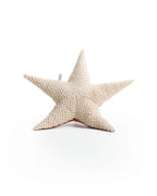 Starfish Stuffed Animal