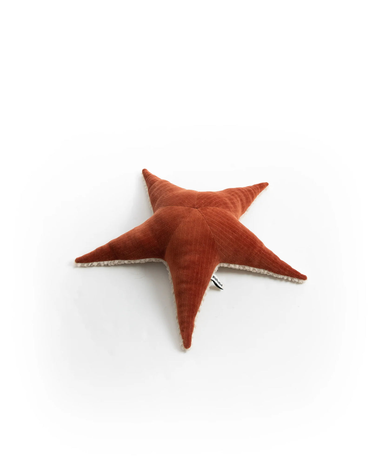 Starfish Stuffed Animal