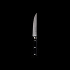 Steak Knife Set, 4-Piece Fine Edge Table Knives