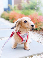 Step-In Dog Harness