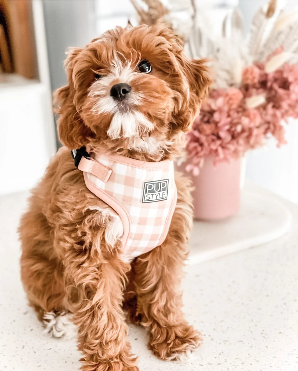 Step-In Dog Harness