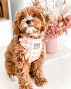 Step-In Dog Harness