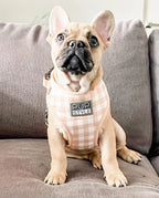 Step-In Dog Harness