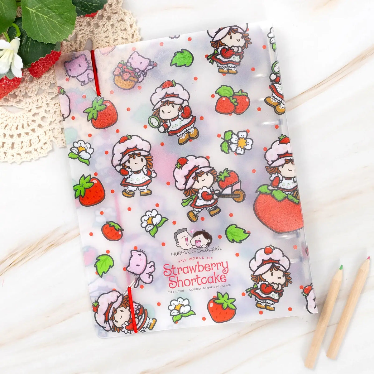 Sticker Storage Binder in Small Size