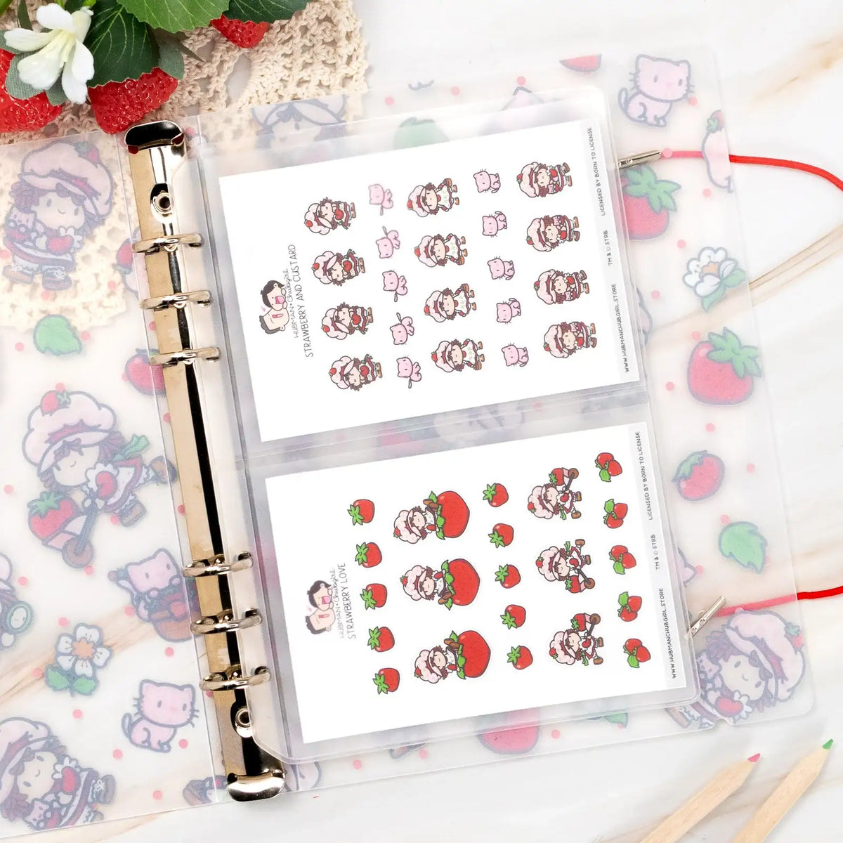 Sticker Storage Binder in Small Size