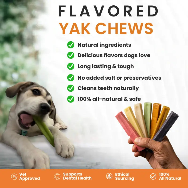 Strawberry Yak Cheese Dog Chews Made