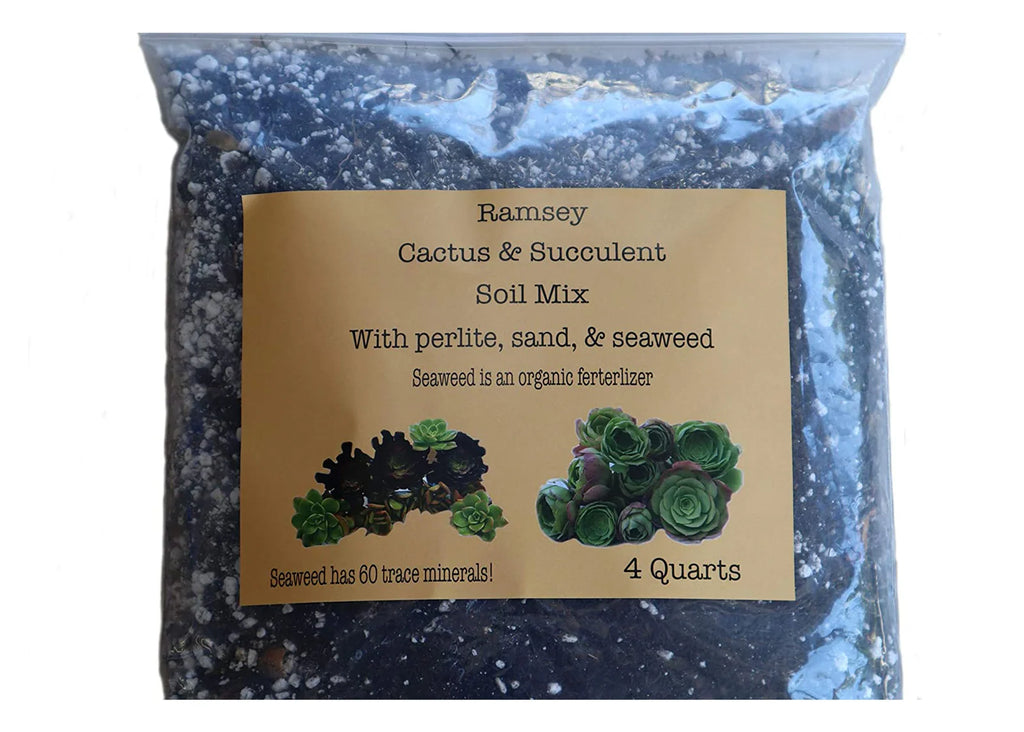 Succulent & Cactus Soil Mix
