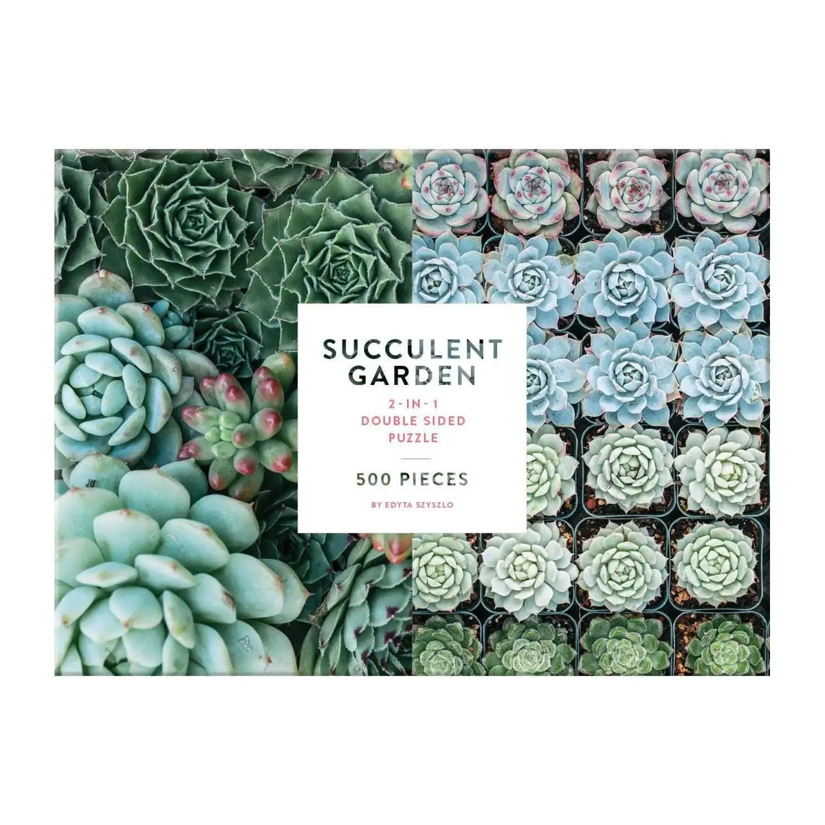 Succulent Garden Double-Sided 500-Piece Jigsaw Puzzle with Ribbon-Cut Pieces and Minimal Puzzle Dust
