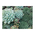 Succulent Garden Double-Sided 500-Piece Jigsaw Puzzle with Ribbon-Cut Pieces and Minimal Puzzle Dust
