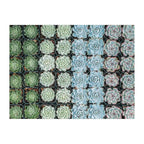 Succulent Garden Double-Sided 500-Piece Jigsaw Puzzle with Ribbon-Cut Pieces and Minimal Puzzle Dust