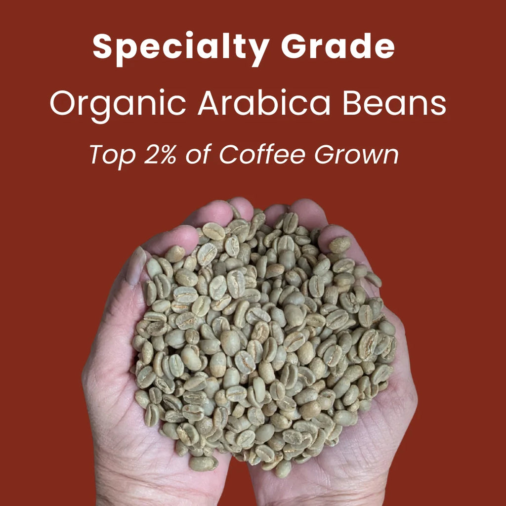 Sumatra Organic Coffee, a Medium-Bodied Dark Roast
