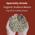 Sumatra Organic Coffee, a Medium-Bodied Dark Roast