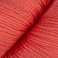 Superwash Merino Blend Sock Yarn in Fingering Weight, Living Coral (5750)