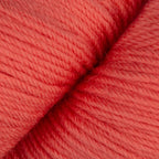 Superwash Merino Blend Sock Yarn in Fingering Weight, Living Coral (5750)