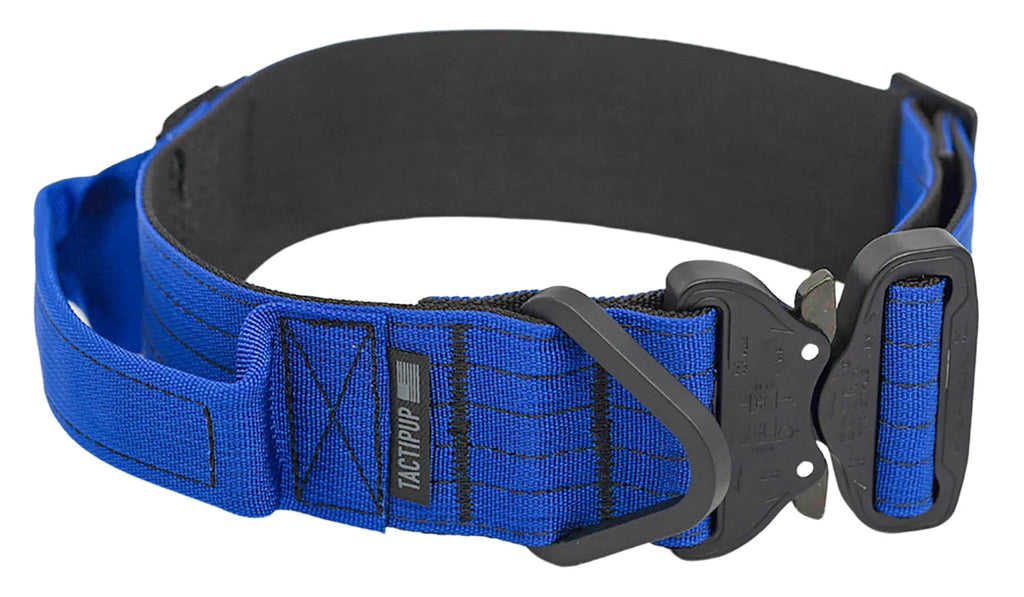 Tactical Dog Collar with Handle, 2 Inch Nylon Webbing and Metal Cobra Buckle for Large Dogs and Agitation Work