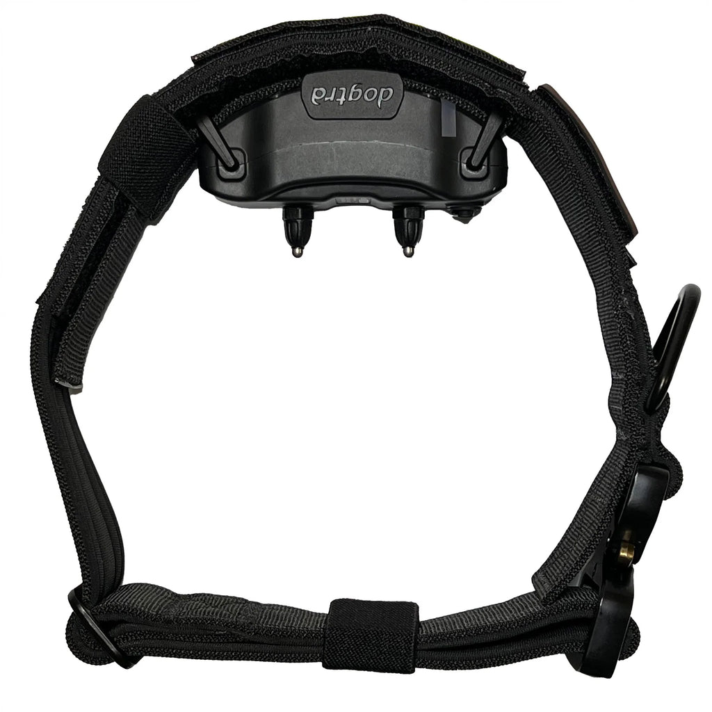 Tactical Dog Training Collar for E-Collar Receivers with Quick Release Buckle, Handle and Multiple Widths