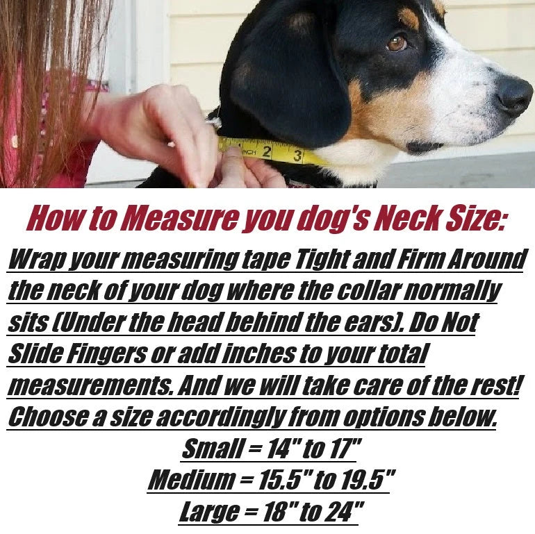 Tactical Dog Training Collar for E-Collar Receivers with Quick Release Buckle, Handle and Multiple Widths