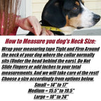 Tactical Dog Training Collar for E-Collar Receivers with Quick Release Buckle, Handle and Multiple Widths