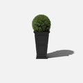 Tall Planter in Victorian-Inspired Style, Twenty-Six Size, Available in Black, Gray, or White — twenty-six / black / one pack