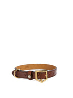 Tan Leather Dog Collar Handcrafted in Portugal